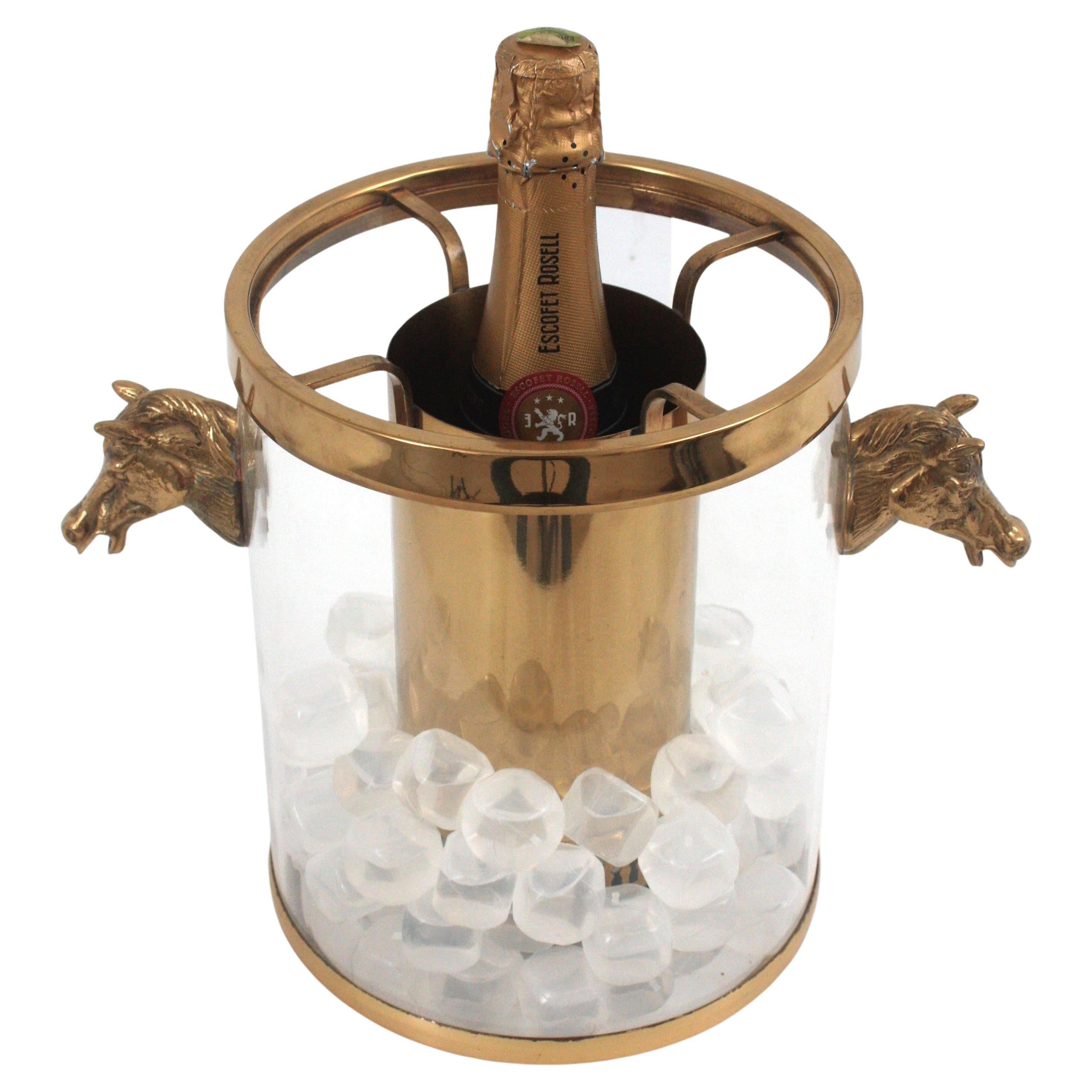 Spagnolo Secchiello per il ghiaccio / Wine Cooler Valentí in lucite e ottone con manici a testa di cavallo in vendita