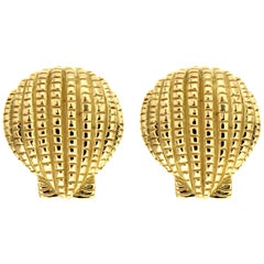 18K Yellow Gold Scallop Shell Earrings