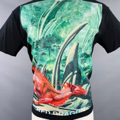 VALENTINO 2019 Size S Black Green Red Dragon Graphic Cotton Crew Neck T-shirt