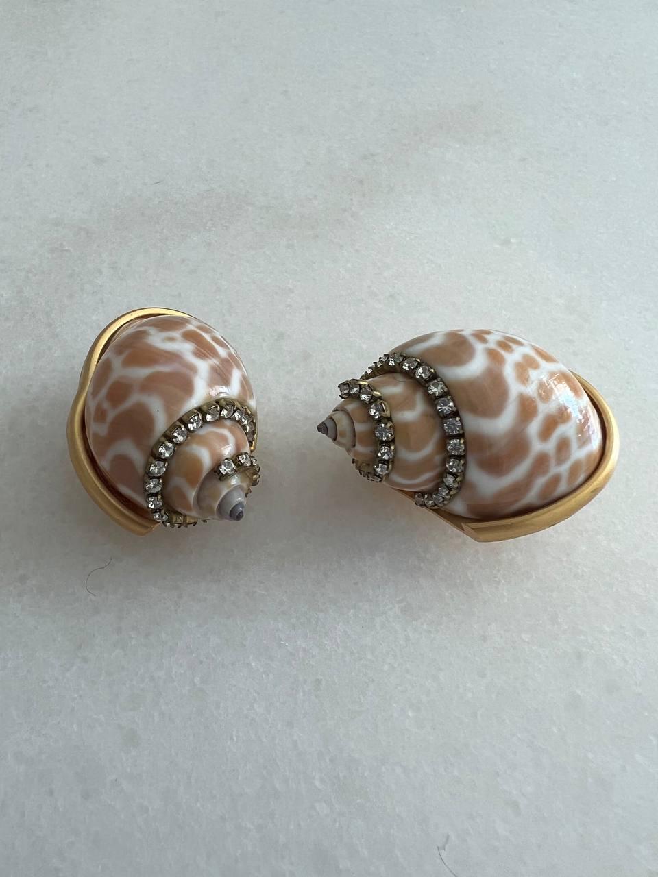 seashell clip on earrings