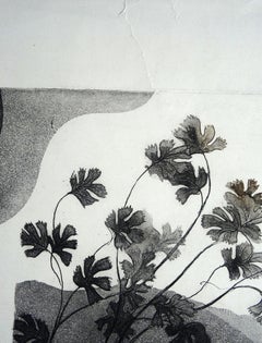 Crimea. 1985. Acquaforte colorata, acquatinta, 2/8, 54x50 cm