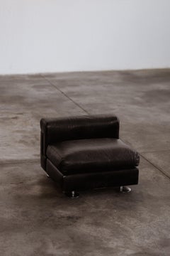 Valeria Borsani & Alfredo Bonetti "D120" Easy Chair per Tecno, 1966