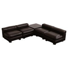 Valeria Borsani & Alfredo Bonetti "D120" Modular Sofa for Tecno, 1966, Set of 4