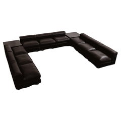Valeria Borsani & Alfredo Bonetti "D120" Modular Sofa for Tecno, 1966, Set of 9