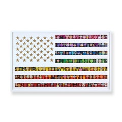 America: Let's Play Over The Rainbow - limited edition pop art wall sculpture