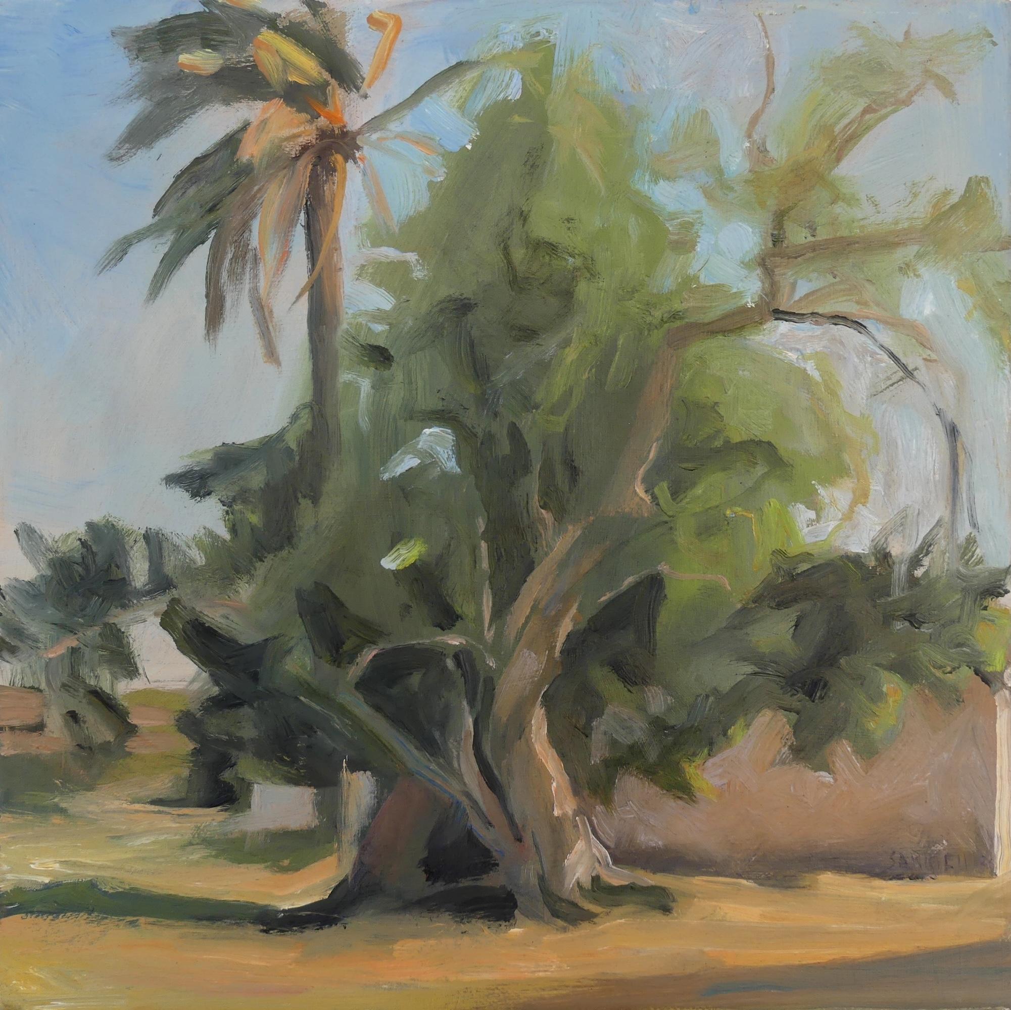Carob Tree and Palm Tree is a unique oil on canvas painting by contemporary artist Valérie de Sarrieu, dimensions are 30 × 30 cm ( 11,8 x 11,8 in).
The artwork is signed, sold unframed and comes with a certificate of authenticity. 

This painting
