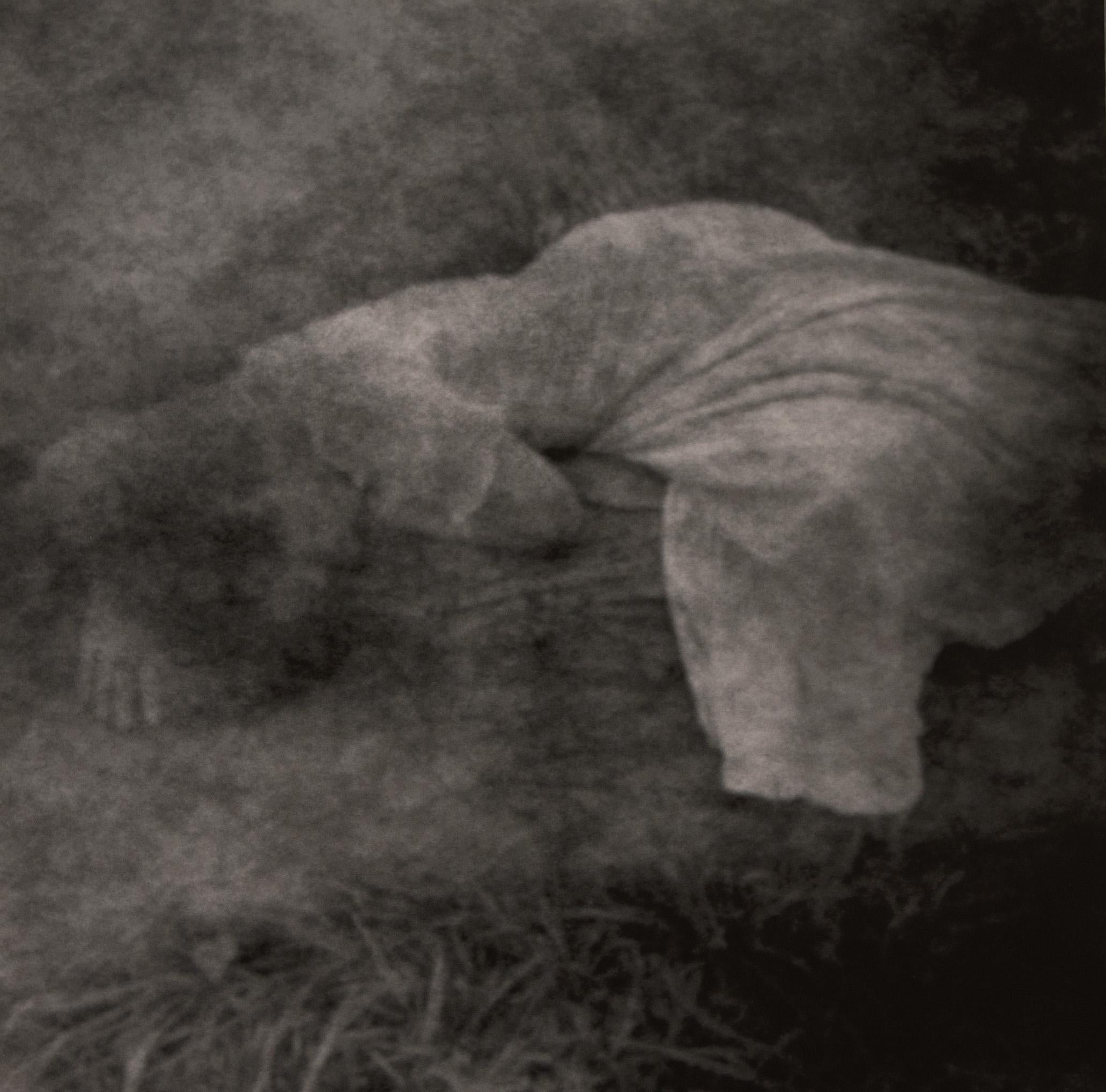 Fotografía artística en blanco y negro de una mujer tumbada, llamada 'Penélope nº 2' - Photograph de Valerie Decleer