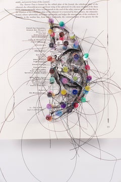 3D work on paper: 'The Human Skull, Right Side'