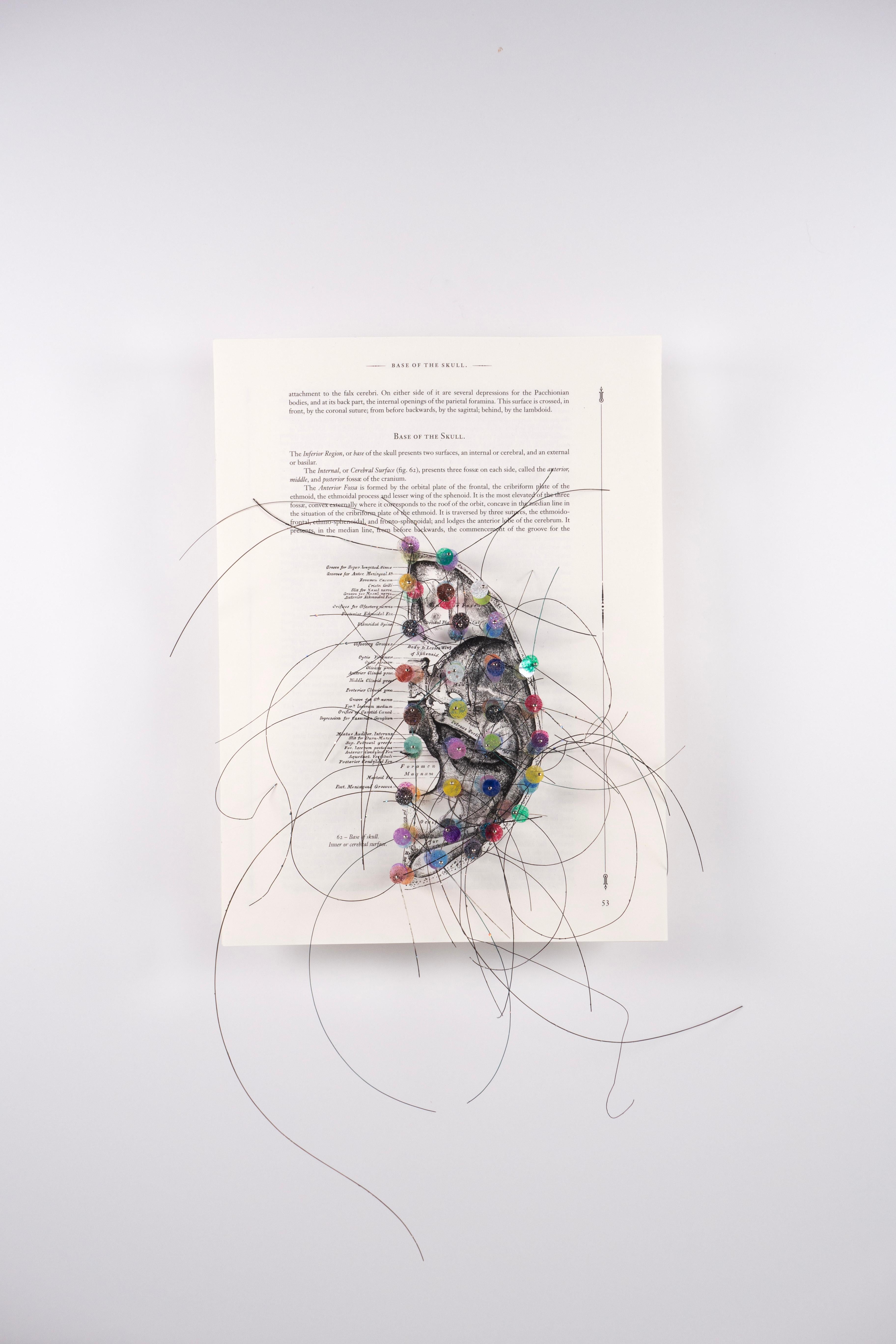 Œuvre en 3D sur papier : « Le crâne humain, côté droit » - Mixed Media Art de Valerie Huhn