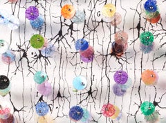 Architecture of the Cortex