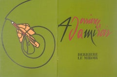 1973 Valerio Adami « Derrière le miroir, n° 206 (couverture) » Modernisme Vert France