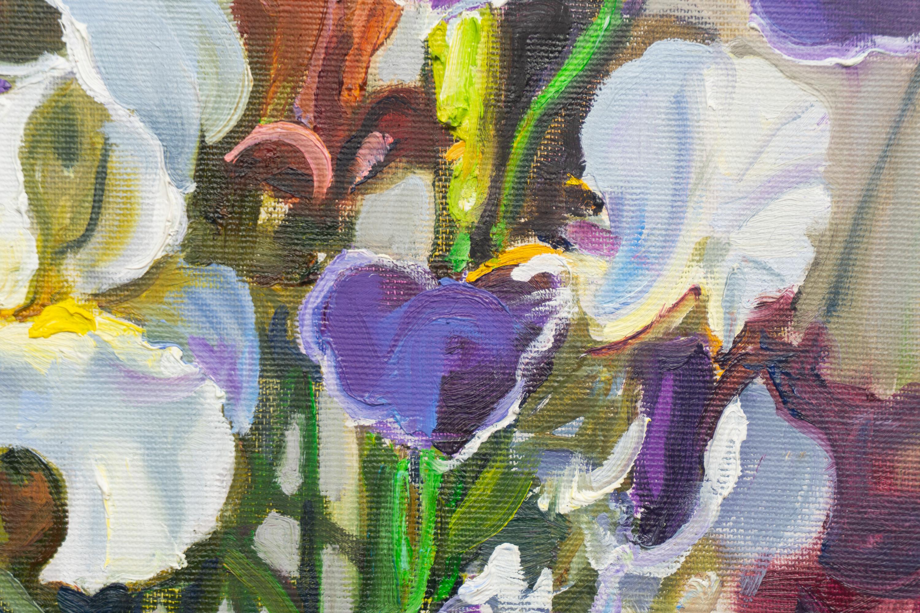 Iris en vente 1