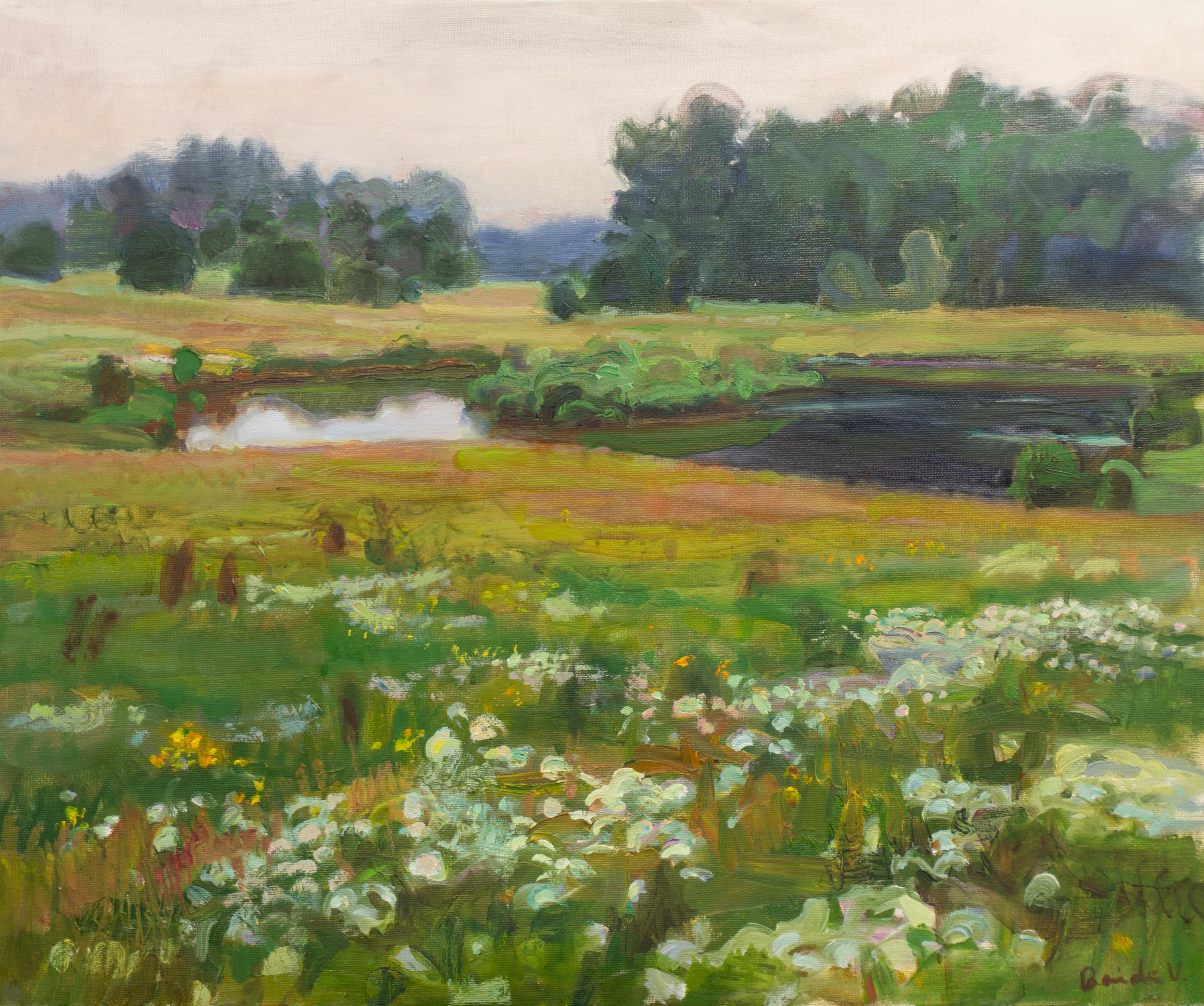 Summer meadows