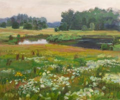 Summer meadows