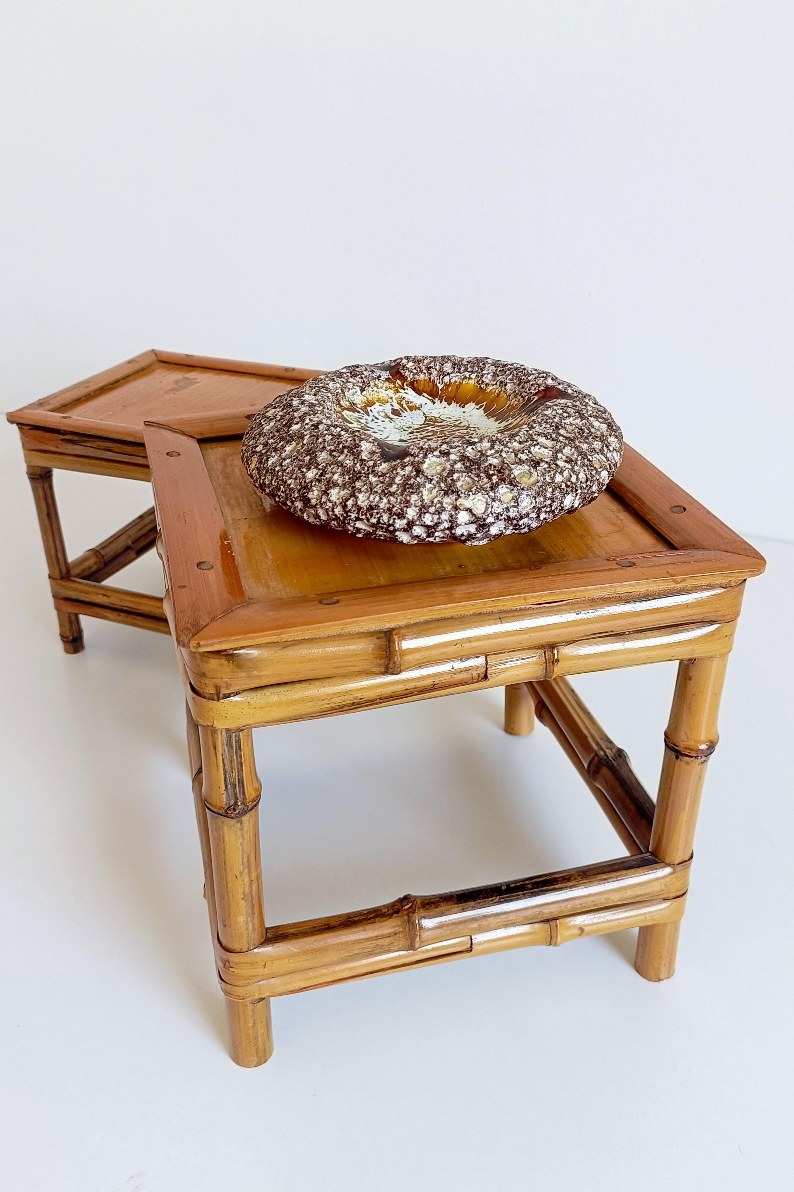 Biomorphic Volcanic Glazed Ceramic Ashtray or Catch-All

A sculptural ceramic piece with a bold, biomorphic shape and striking volcanic glaze. The surface features fire-burned textures that give it the look of cooled lava or a marine form —
