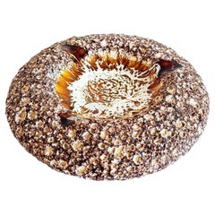 Vallauris Biomorphic Volcanic Glazed Ceramic Ashtray or Catch-Al, France, 1950s