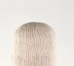 Valley Companions by Alice Walton