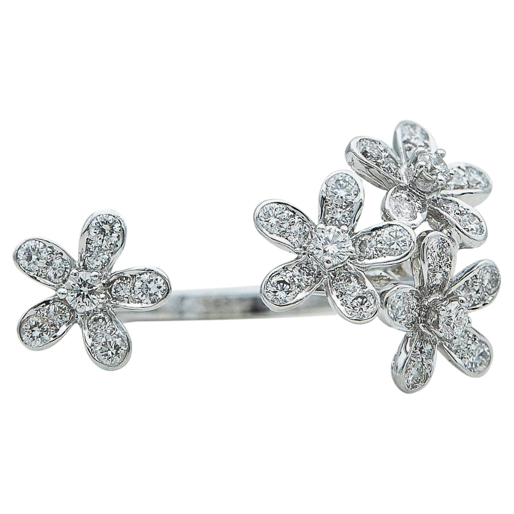 Socrate Ring