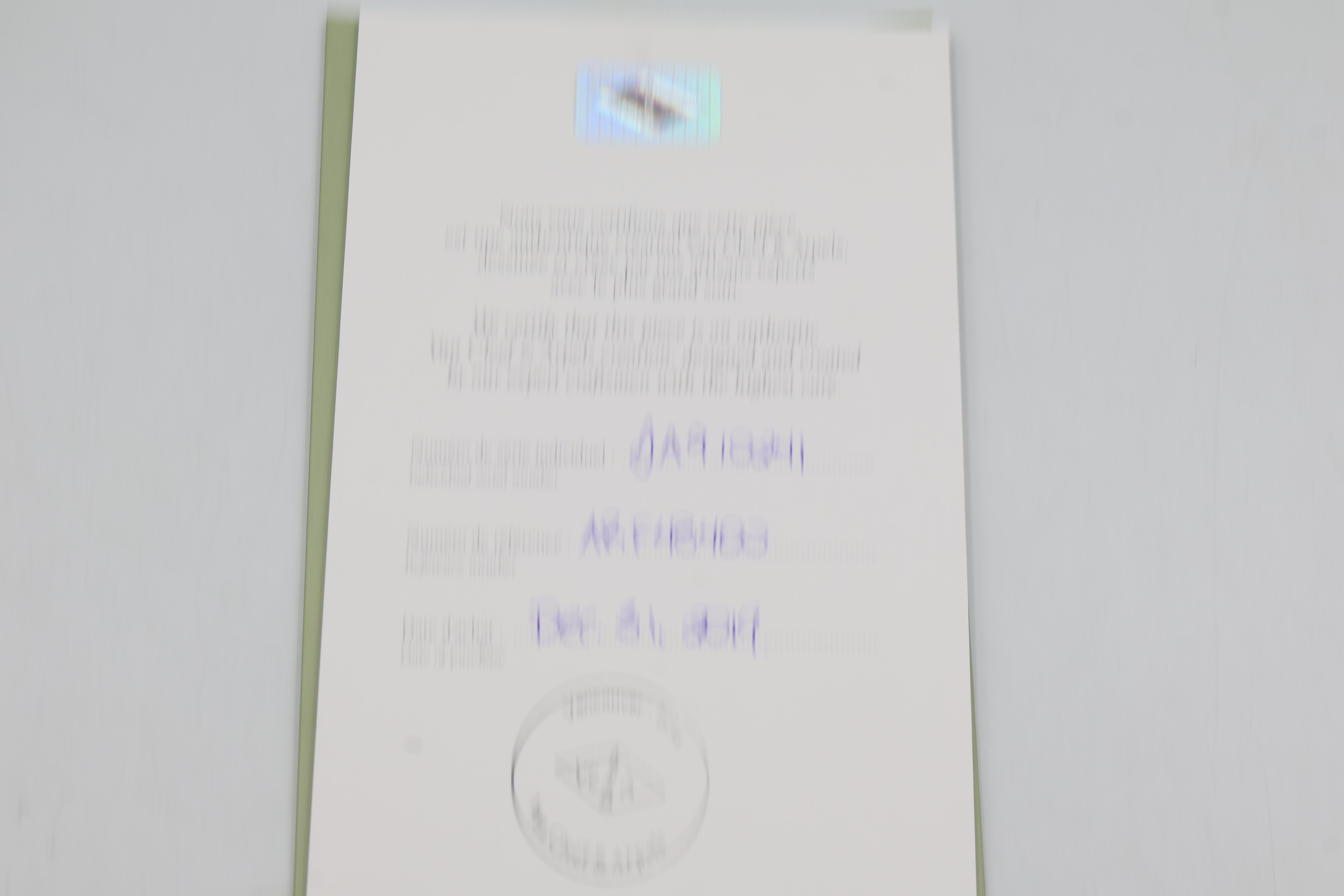 Van Cleef & Arpels 18K Weißgold Perlmutter Halskette & Anhänger im Angebot 5