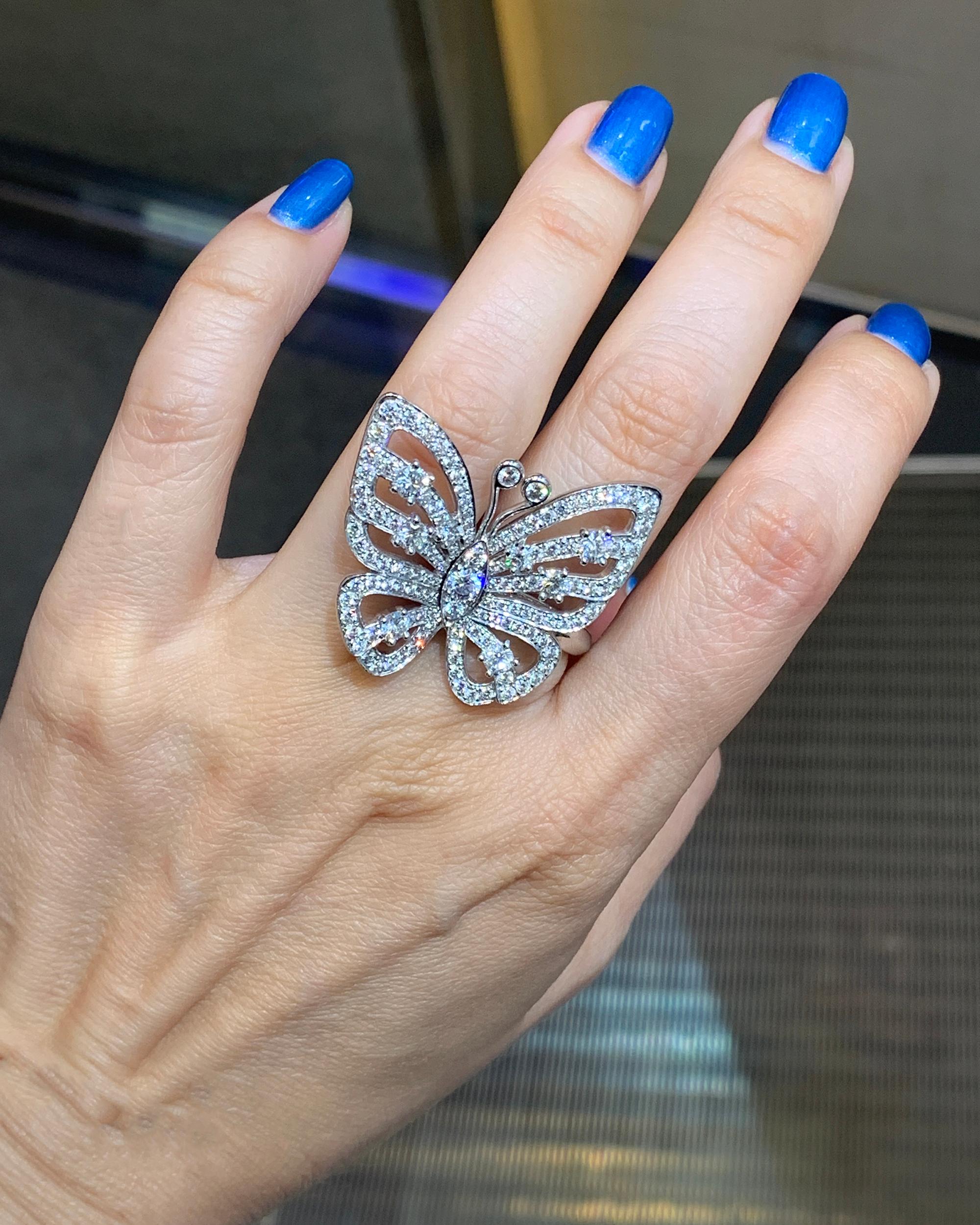 butterfly flying ring