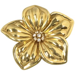 Van Cleef & Arpels Grande broche à fleurs Magnolia en or jaune et diamants