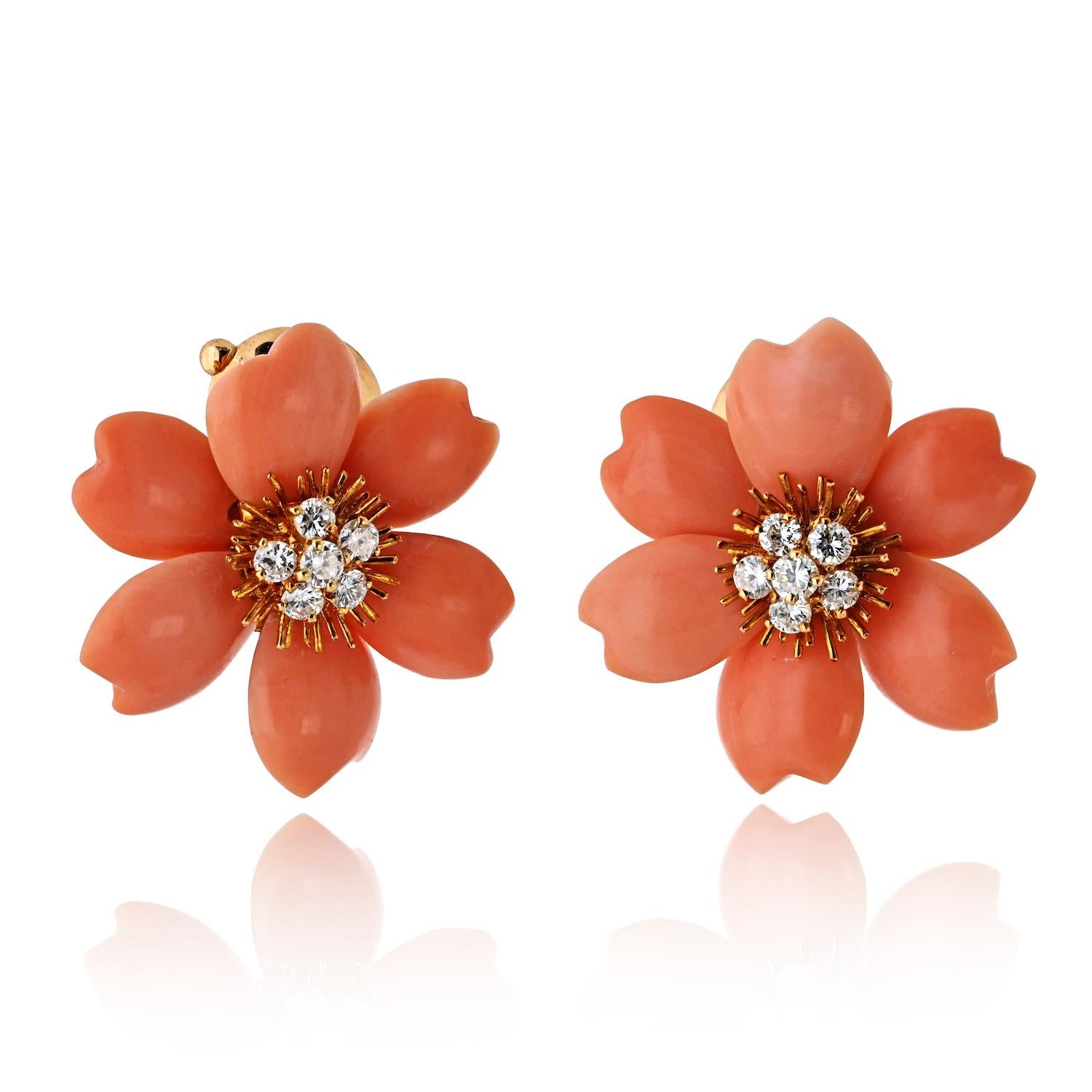 Diese eleganten Van Cleef & Arpels Rose de Noël-Ohrringe sind aus 18 Karat Gelbgold gefertigt und zeigen wunderschön geschnitzte Blütenblätter in einer zartrosa-orangefarbenen Koralle, die in dem begehrten kleinen Modell präsentiert werden. Jeder
