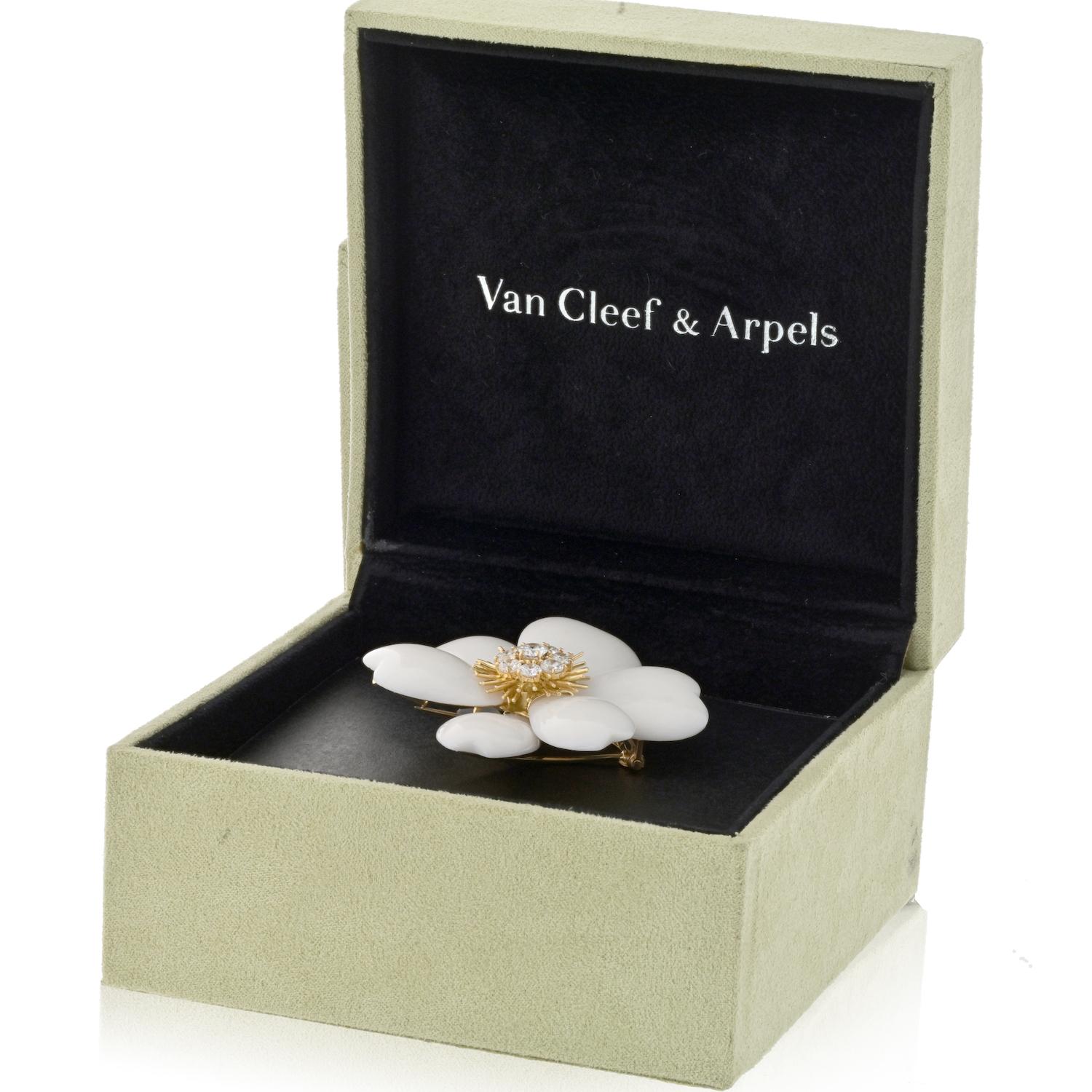 Women's Van Cleef & Arpels Rose de Noël White Coral 18K Yellow Gold Brooch For Sale