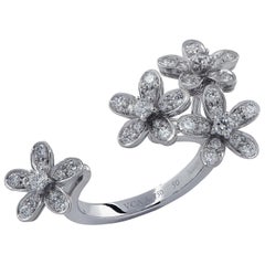 Van Cleef & Arpels Socrate Between the Finger Ring