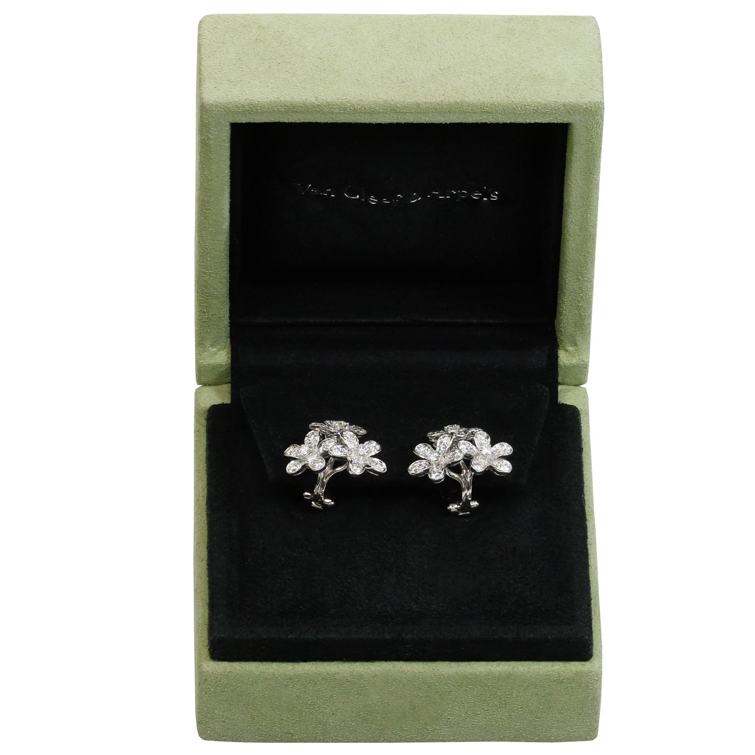 van cleef socrate earrings