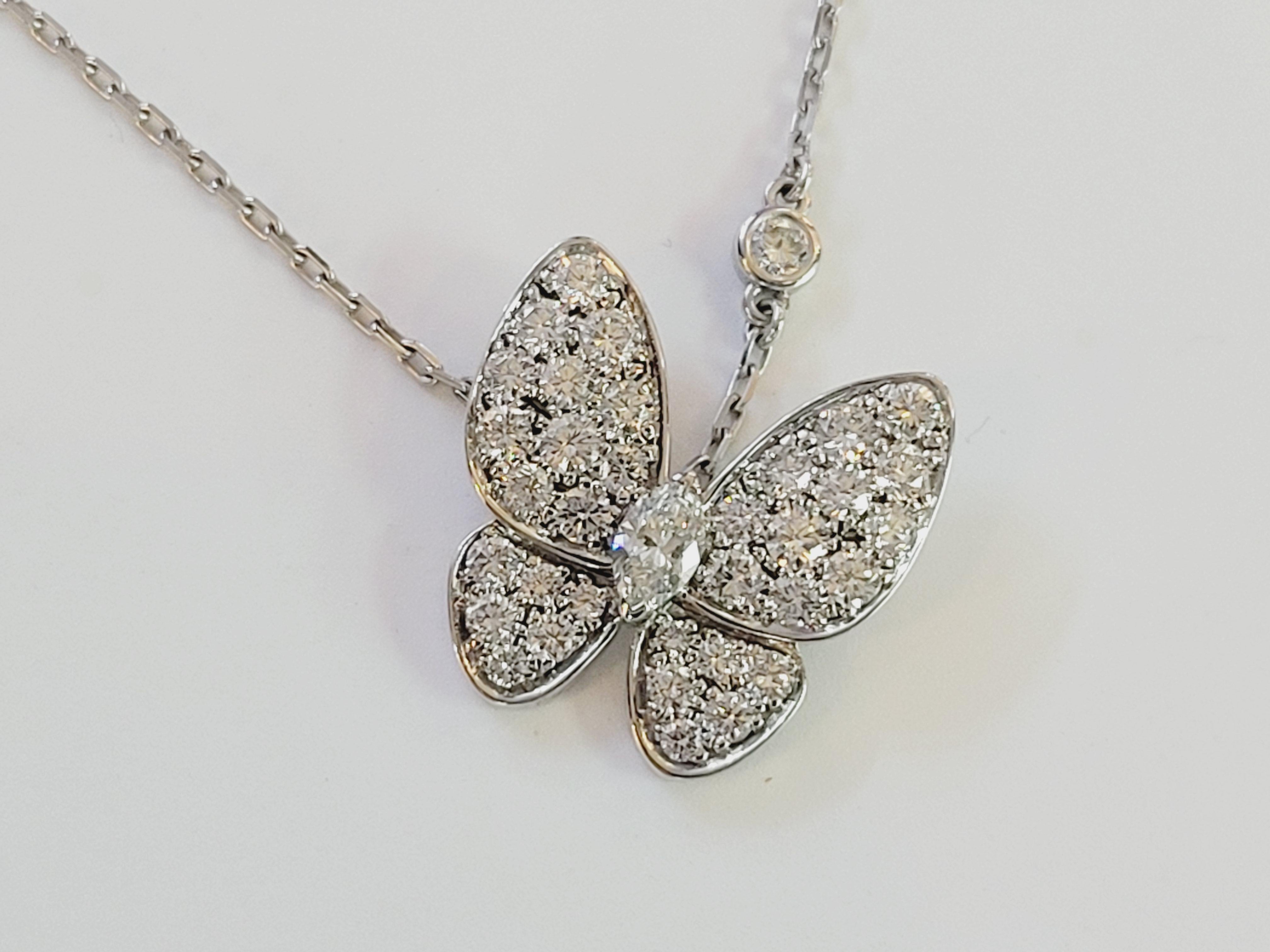 ad laurent et ruby butterfly