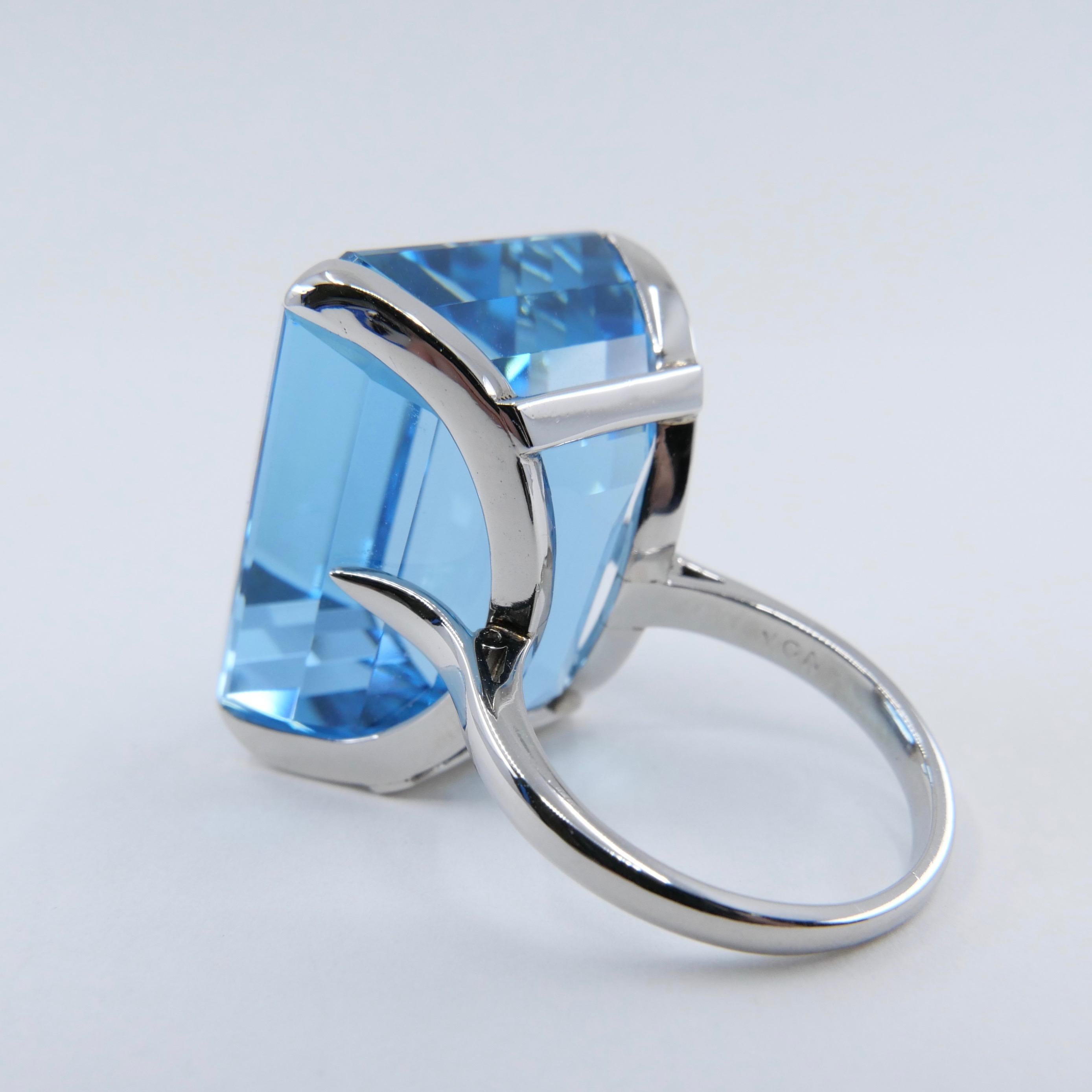 Van Cleef & Arpels VCA Aquamarine 48.90 Carat Platinum Ring, circa 1950s 4