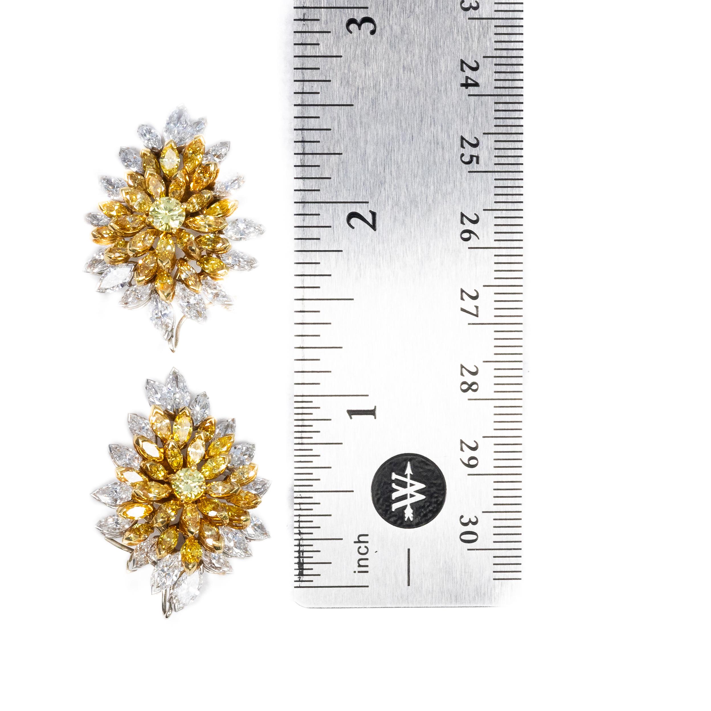 Embodying elegance and artistry, these Van Cleef & Arpels Multicolor Diamond Earrings are a testament to refined luxury. Each earring showcases a central round-cut yellow diamond, surrounded by a radiant cluster of marquise-cut yellow diamonds, and
