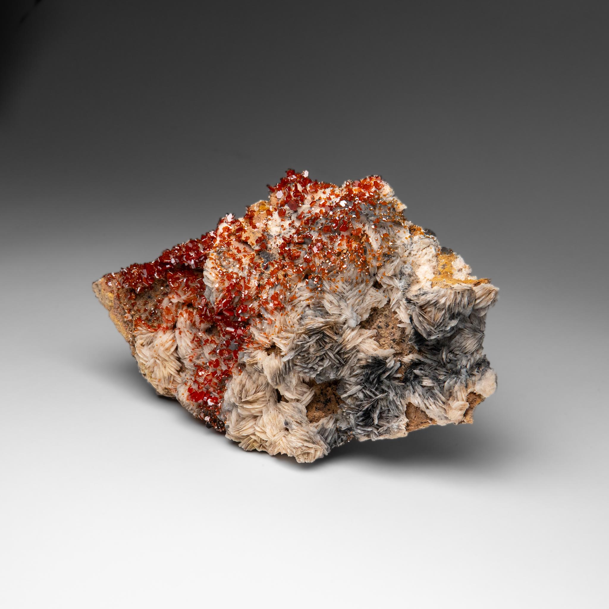 Vanadinite Crystal Cluster on Barite from Mibladen, Atlas Mountains, Morocco For Sale 4