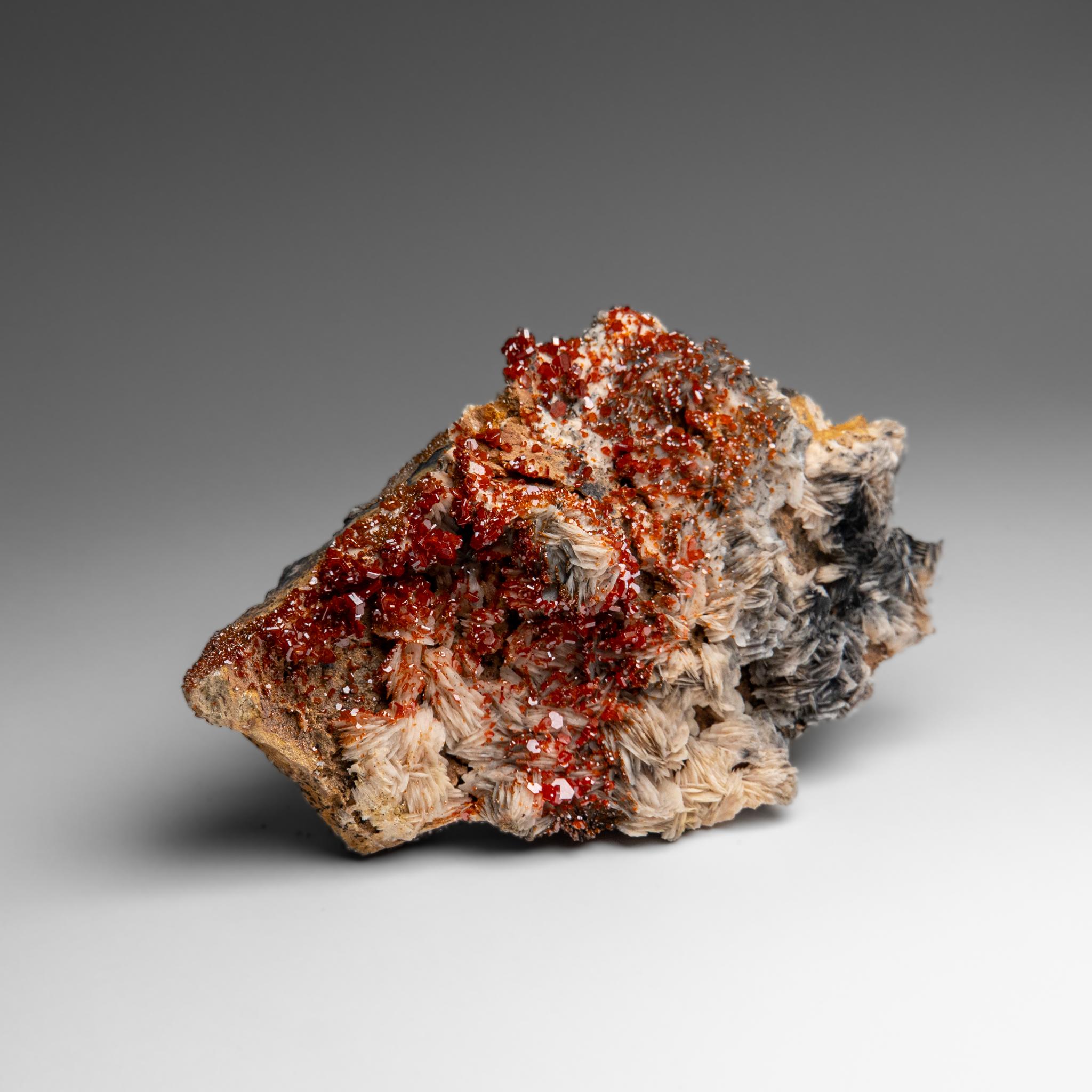 Vanadinite Crystal Cluster on Barite from Mibladen, Atlas Mountains, Morocco For Sale 5