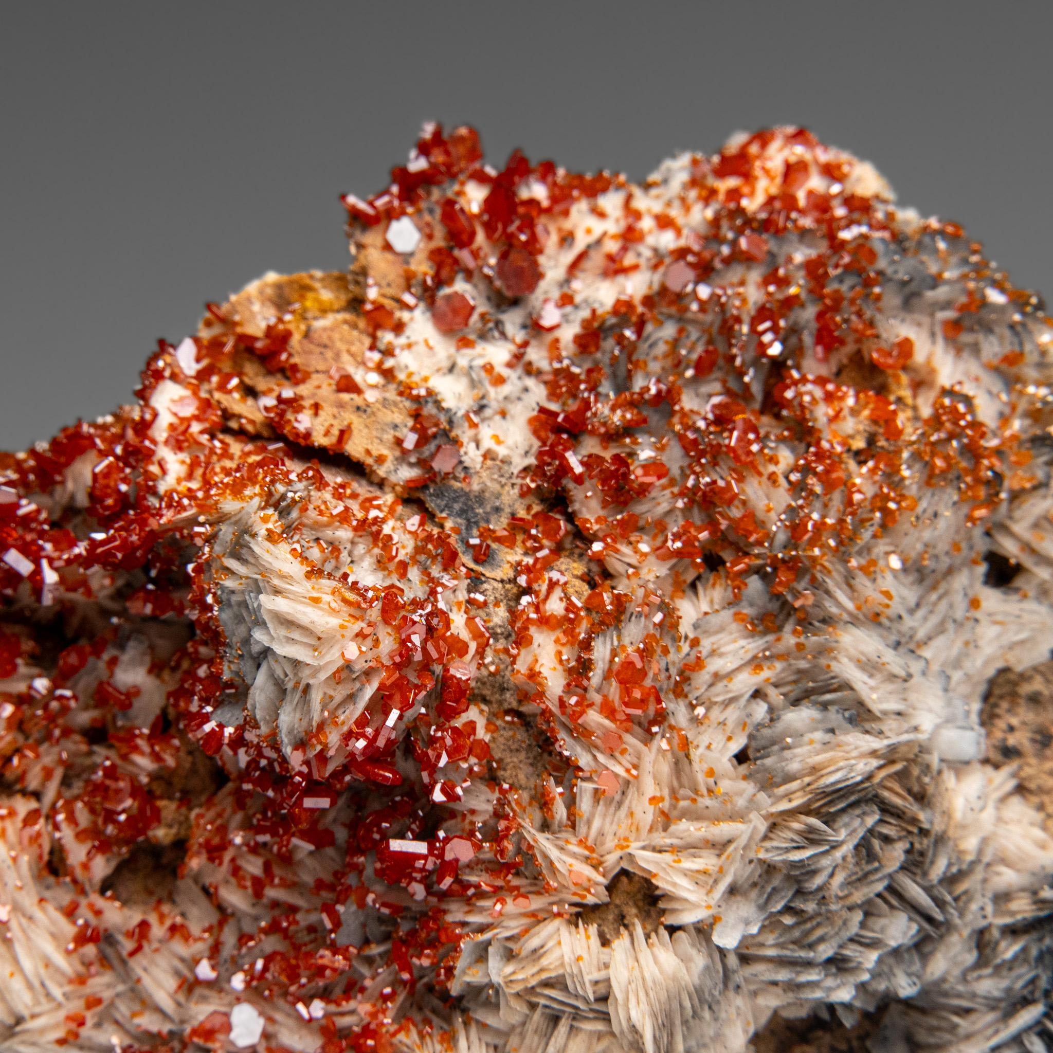 From Mibladen, Atlas Mountains, Khénifra Province, Morocco.

Here is an exceptional world class specimen of a cluster of hexagonal crystals of bright red Vanadinites with glassy luster on barite matrix. Well defined undamaged crystals, fully