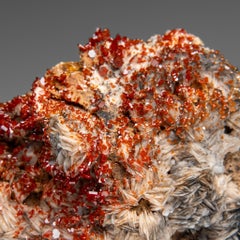 Amas de cristaux de vanadinite sur barite provenant de Mibladen, montagnes de l'Atlas, Maroc