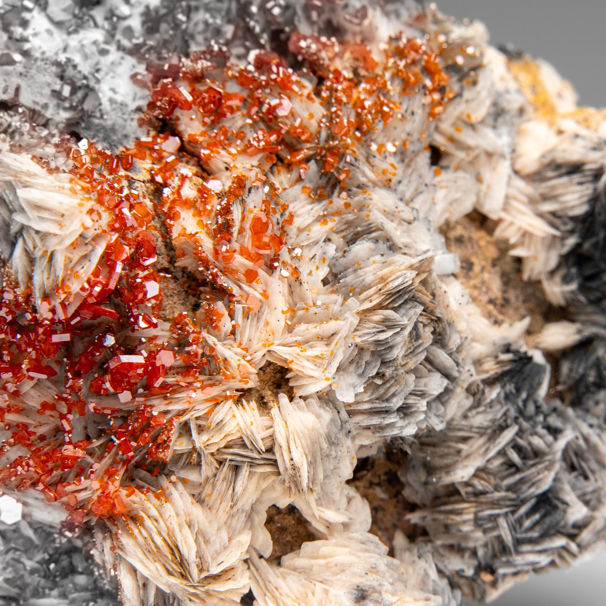 Moroccan Vanadinite Crystal Cluster on Barite from Mibladen, Atlas Mountains, Morocco For Sale