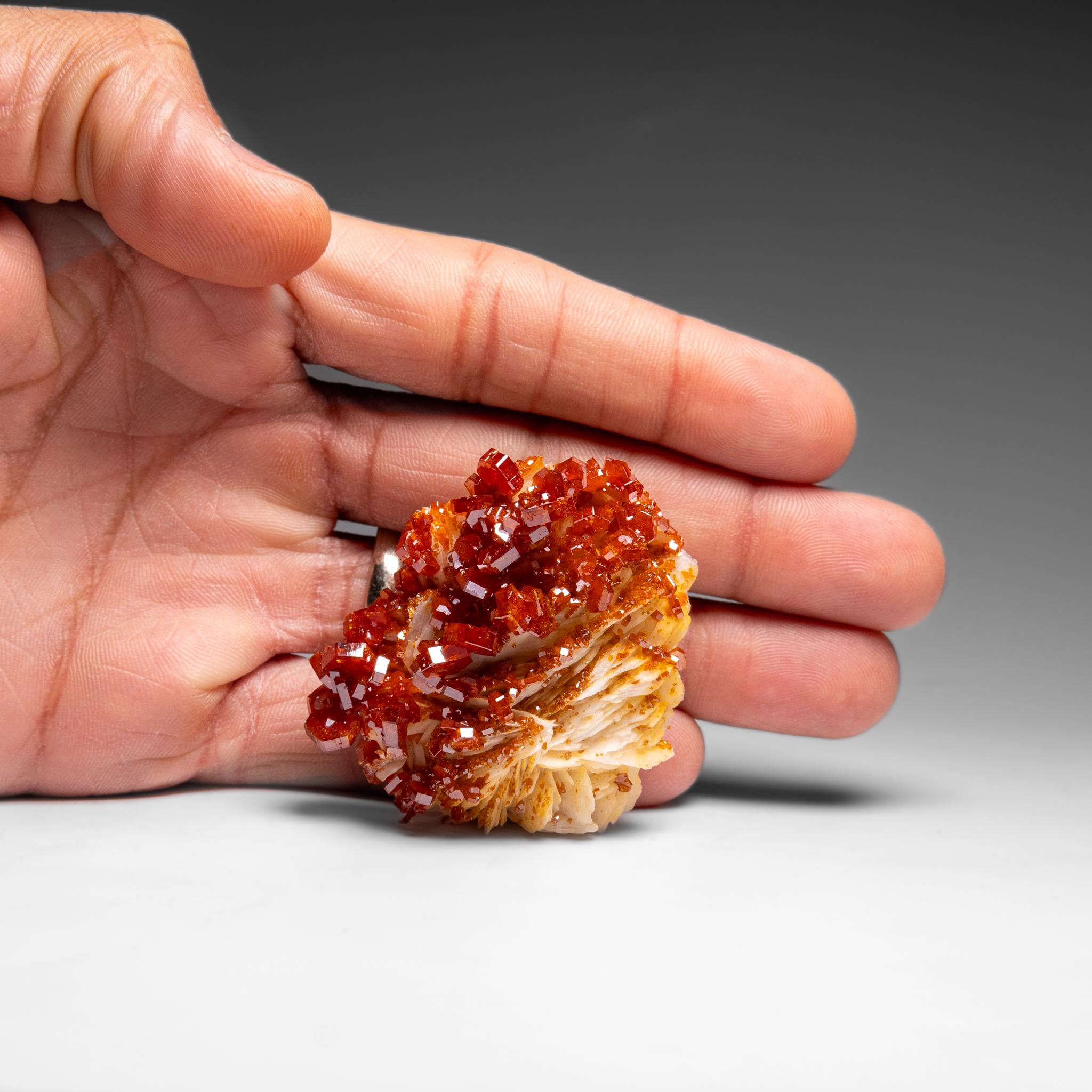 Vanadinite Crystal Cluster on Barite from Mibladen, Atlas Mountains, Morocco In New Condition For Sale In New York, NY