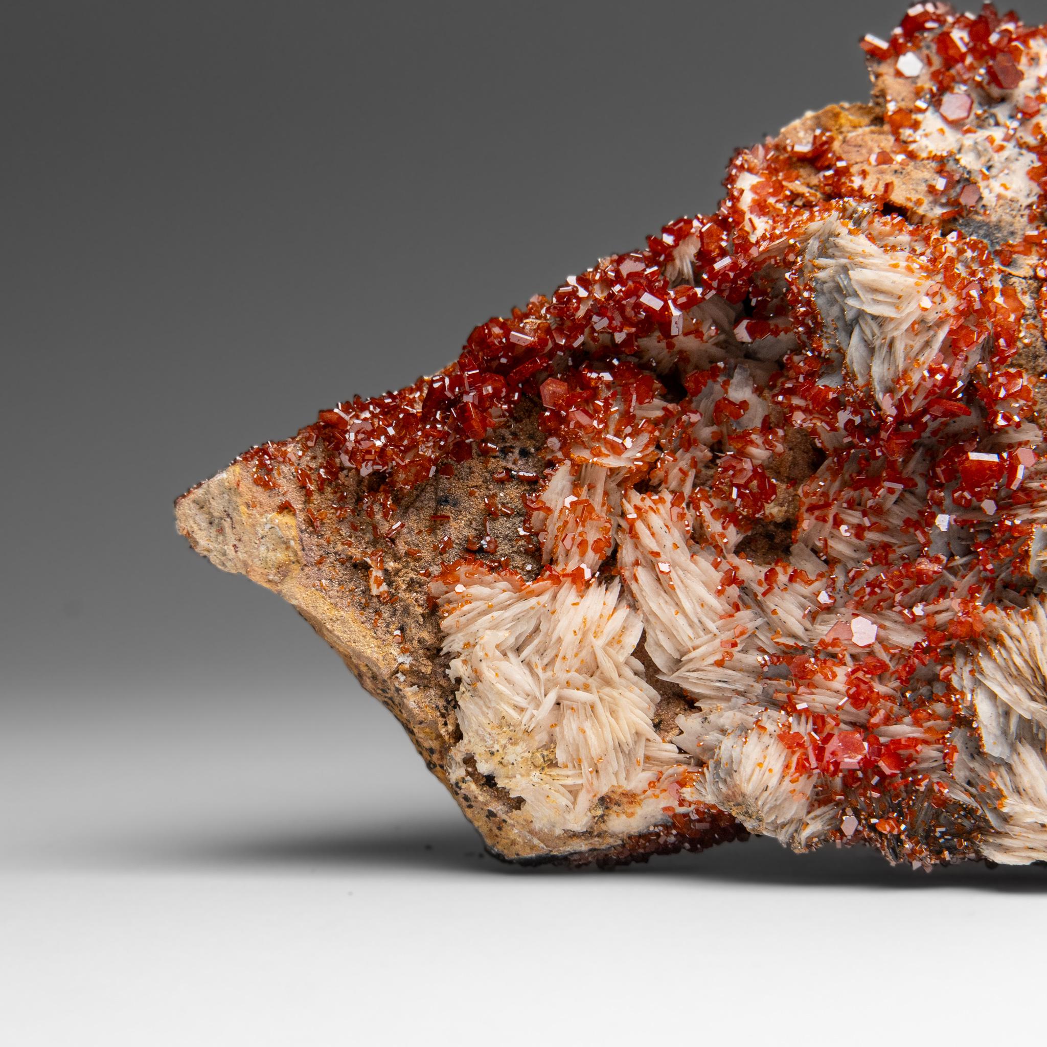 Vanadinite Crystal Cluster on Barite from Mibladen, Atlas Mountains, Morocco In New Condition For Sale In New York, NY