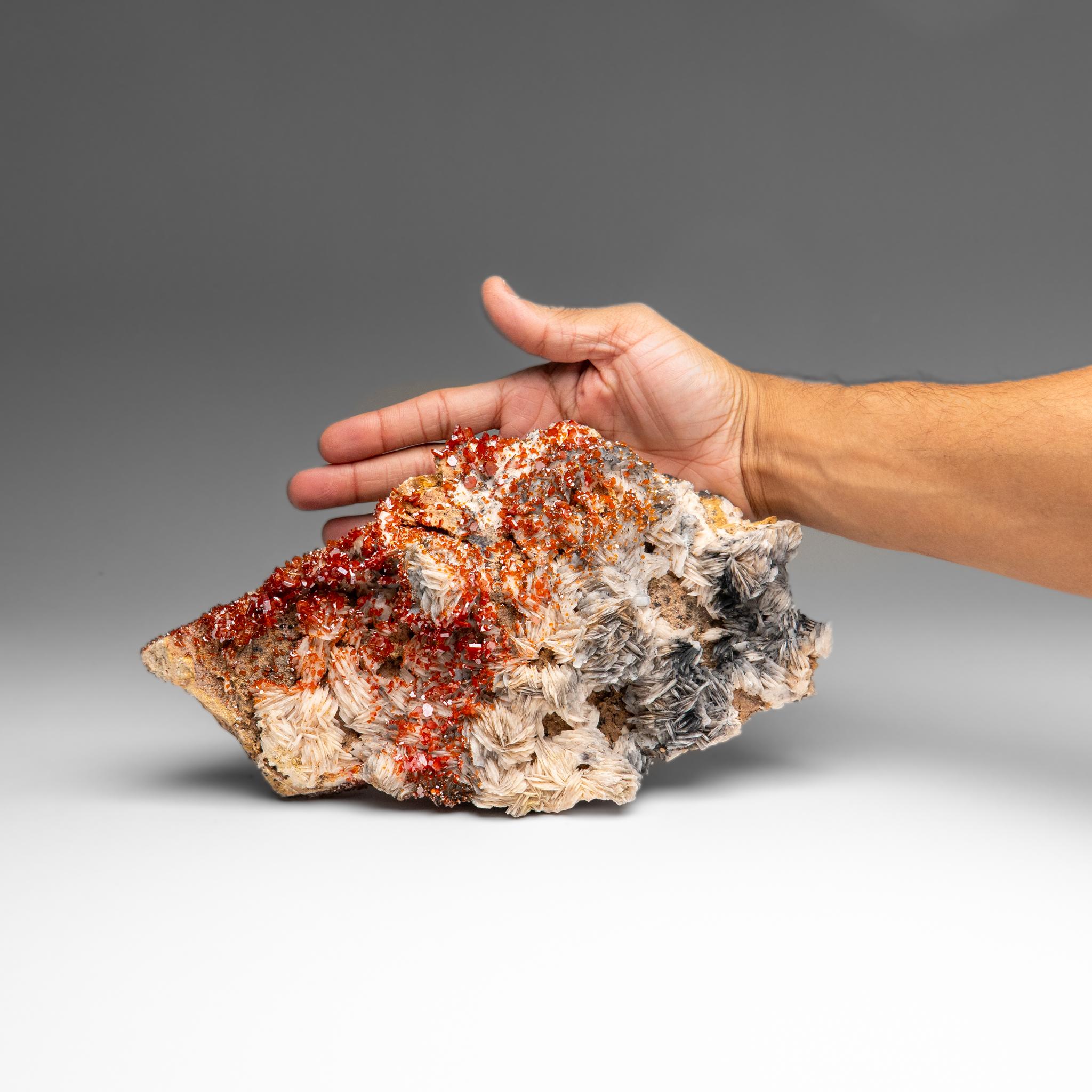 Other Vanadinite Crystal Cluster on Barite from Mibladen, Atlas Mountains, Morocco For Sale