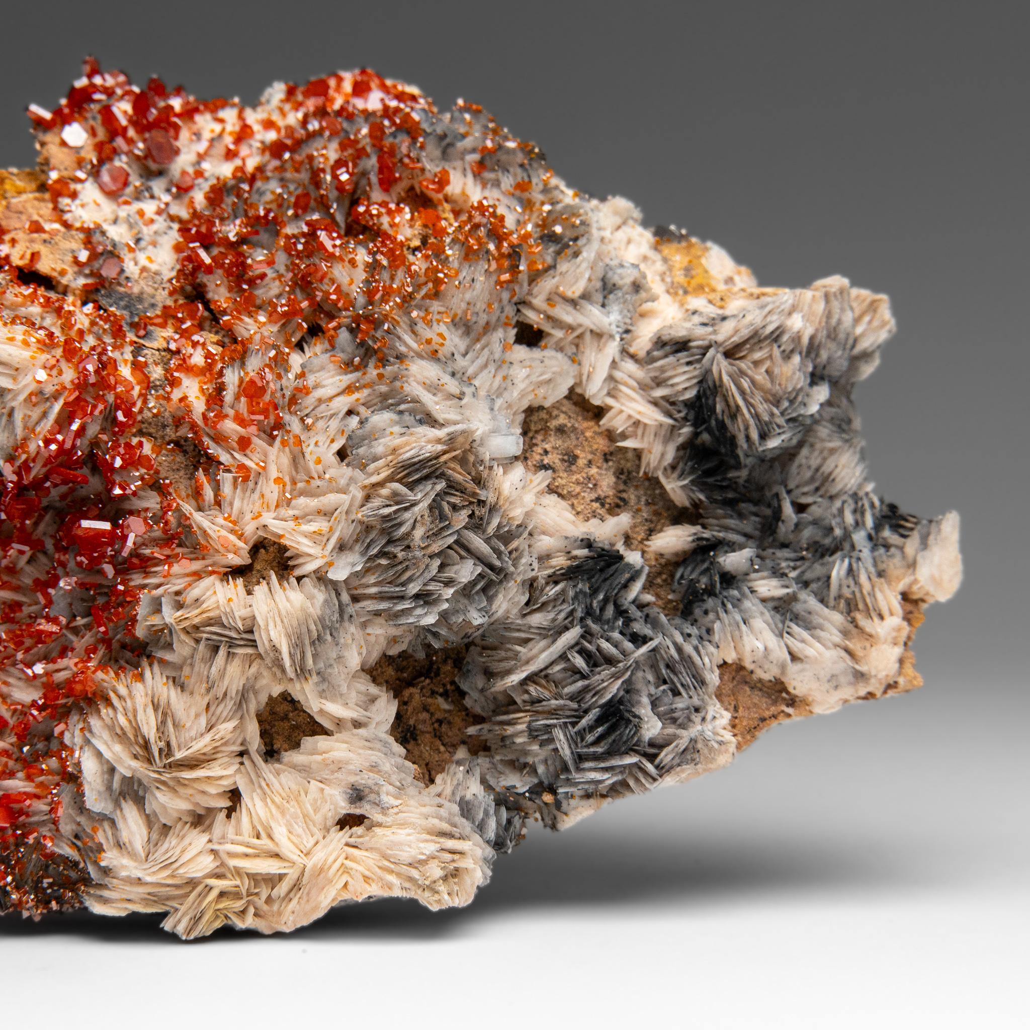 Vanadinite Crystal Cluster on Barite from Mibladen, Atlas Mountains, Morocco For Sale 1