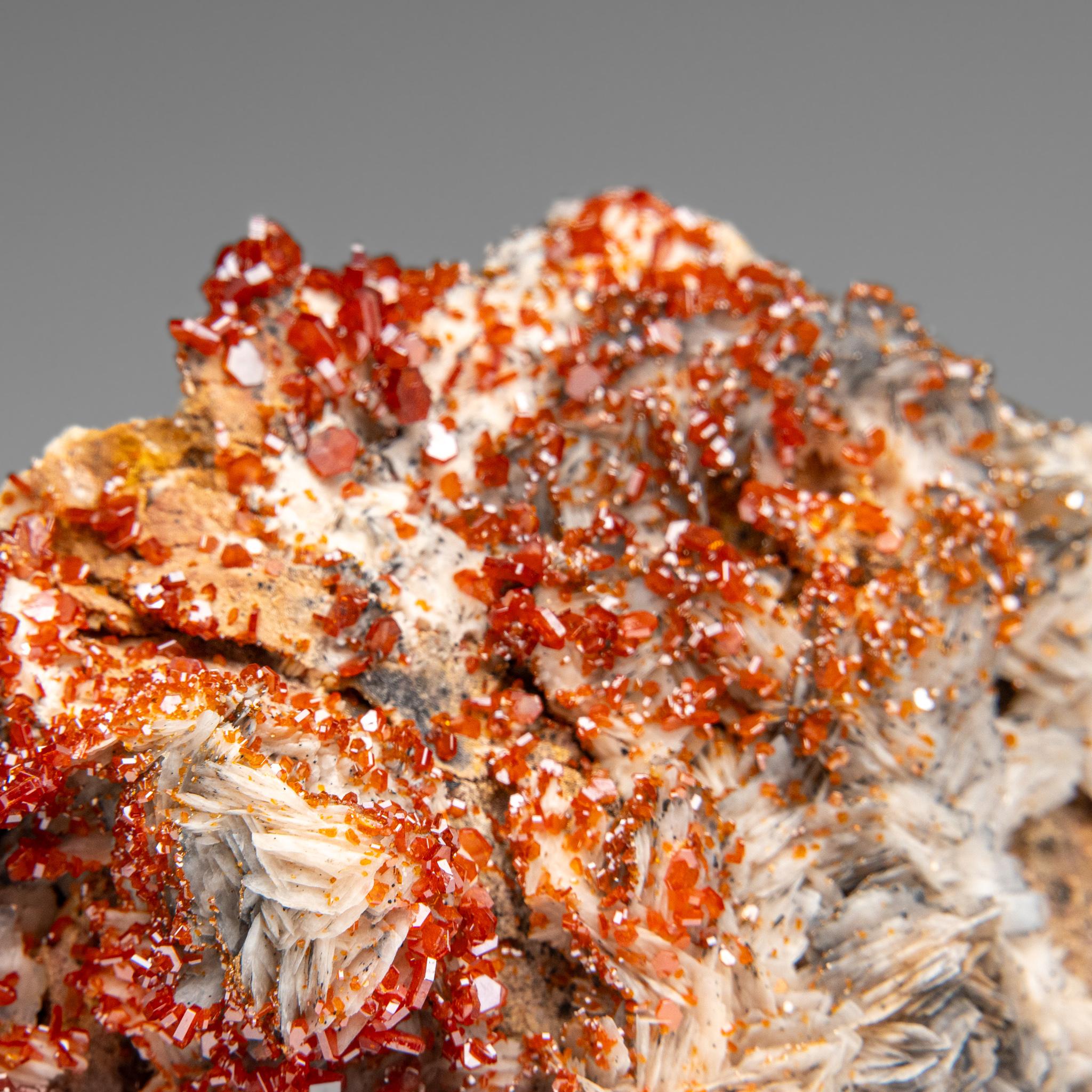 Vanadinite Crystal Cluster on Barite from Mibladen, Atlas Mountains, Morocco For Sale 3