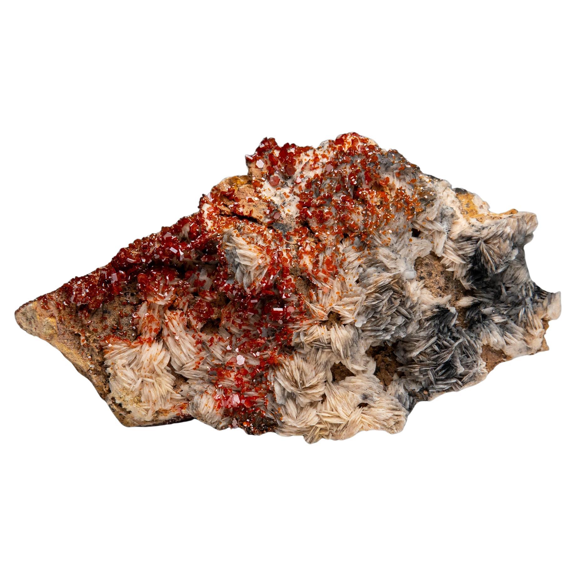 Vanadinite Crystal Cluster on Barite from Mibladen, Atlas Mountains, Morocco For Sale
