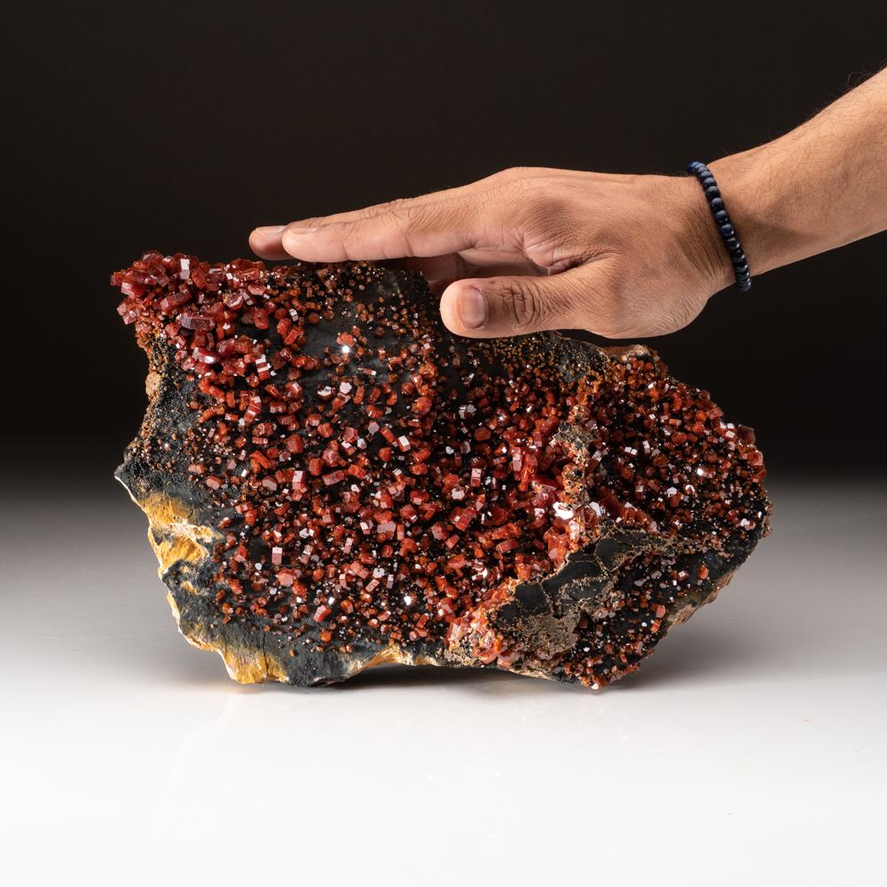 From Mibladen, Atlas Mountains, Khénifra Province, Morocco 

Here is an exceptional world class specimen of a cluster of hexagonal crystals of dark red Vanadinites with glassy luster on barite matrix. The vanadinite crystals are prismatic hexagonal