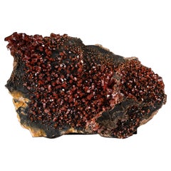 Vanadinite Crystal Cluster on Matrix - From Mibladen, Atlas Mountains, Khénifra