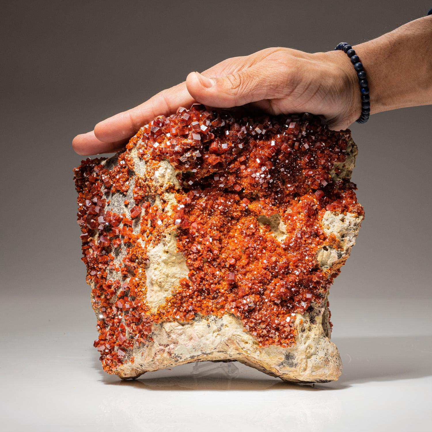 From Mibladen, Atlas Mountains, Khénifra Province, Morocco 

Here is an exceptional world class specimen of a cluster of hexagonal crystals of bright red Vanadinites with glassy luster on barite matrix. Large well defined undamaged crystals, fully