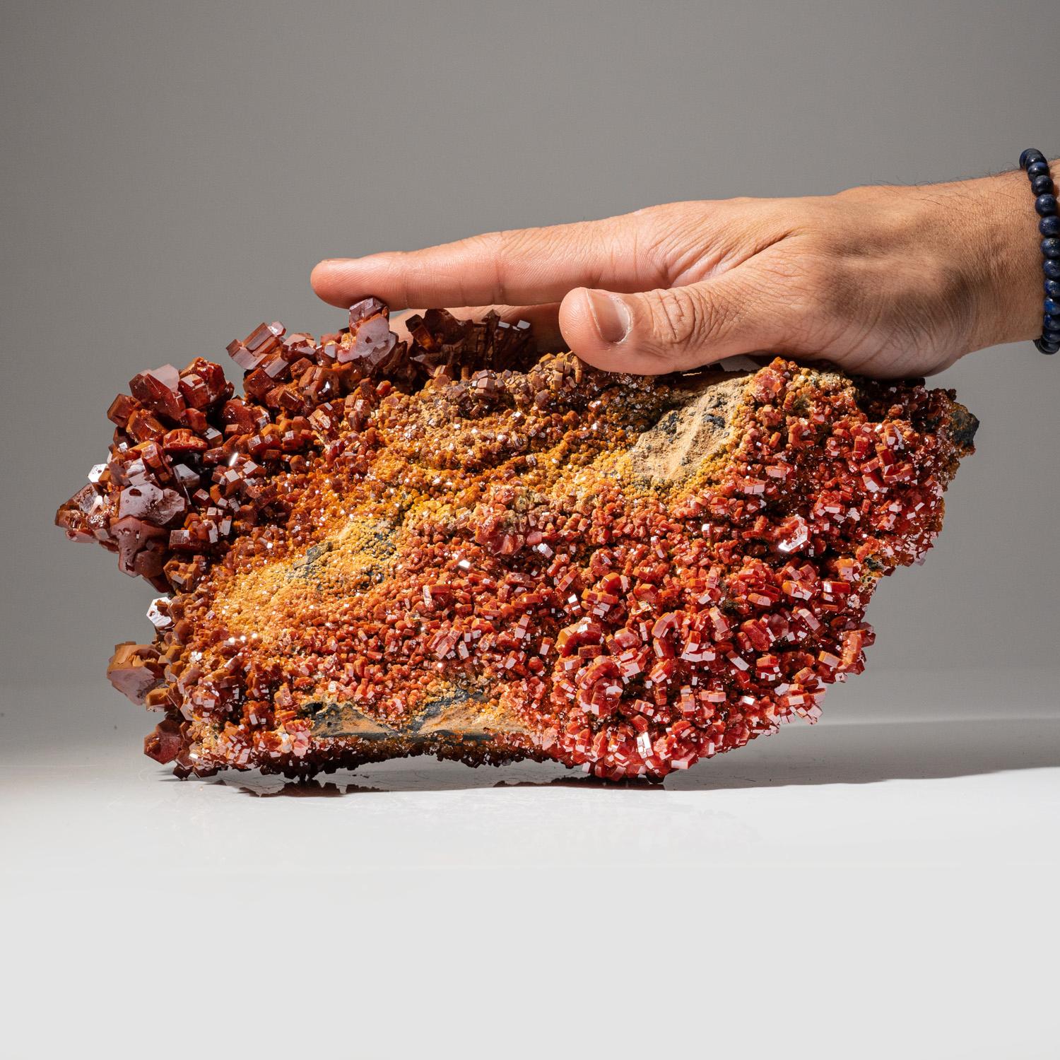 From Mibladen, Atlas Mountains, Khénifra Province, Morocco 

Here is an exceptional world class specimen of a cluster of hexagonal crystals of bright red Vanadinites with glassy luster on barite matrix. Large well defined undamaged crystals, fully