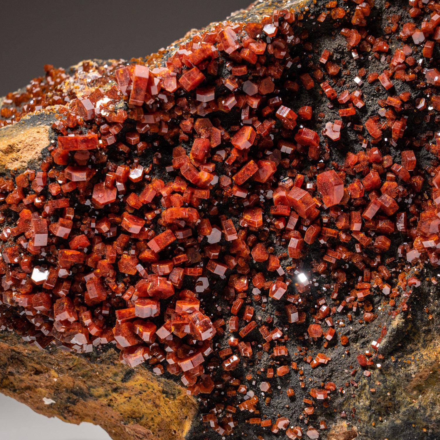 Desde Mibladen, cordillera del Atlas, provincia de Khénifra, Marruecos 

He aquí un excepcional espécimen de clase mundial de un grupo de cristales hexagonales de Vanadinitas de color rojo brillante con lustre vítreo sobre matriz de barita.
