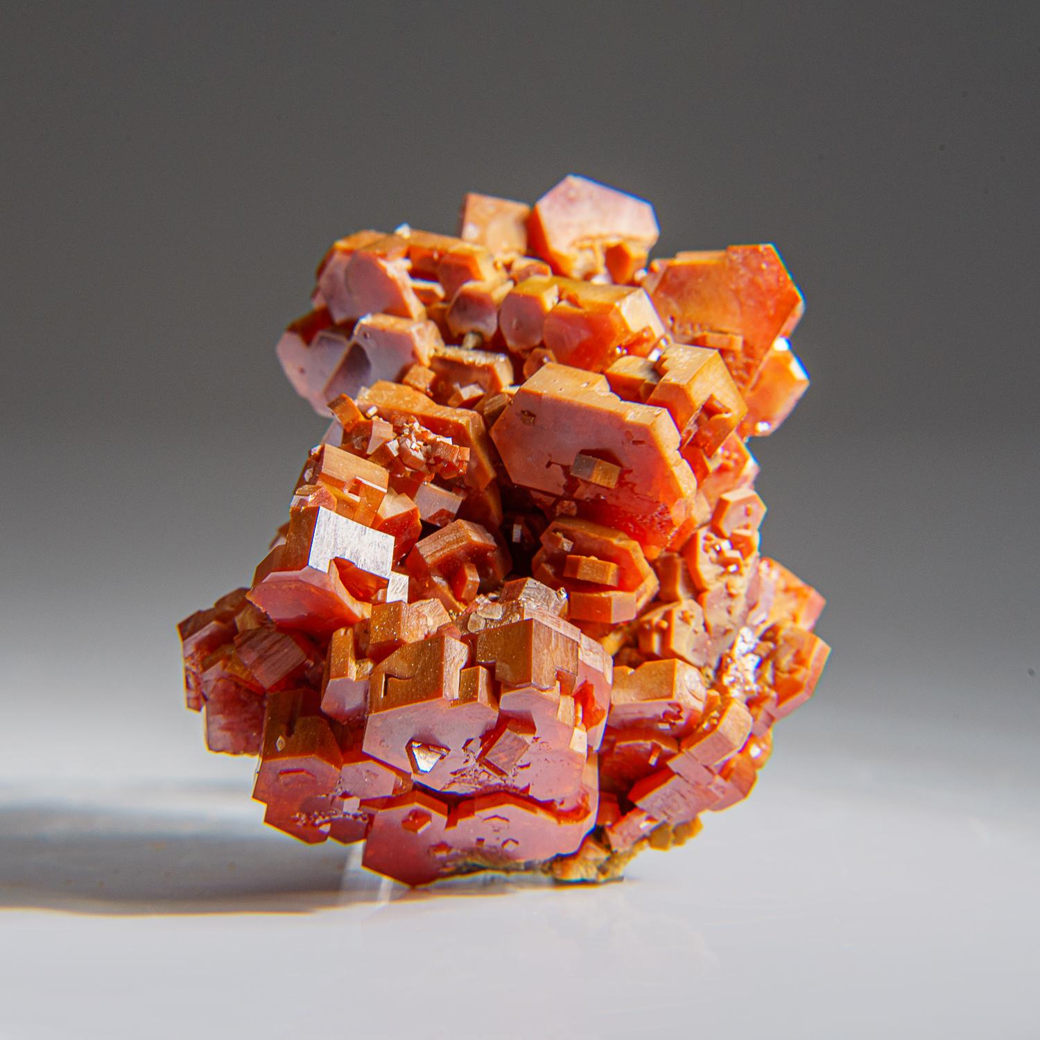 From Mibladen, Atlas Mountains, Khénifra Province, Morocco 

Here is an exceptional world class specimen of a cluster of hexagonal crystals of bright red Vanadinites with glassy luster on barite matrix. Large well defined undamaged crystals, fully
