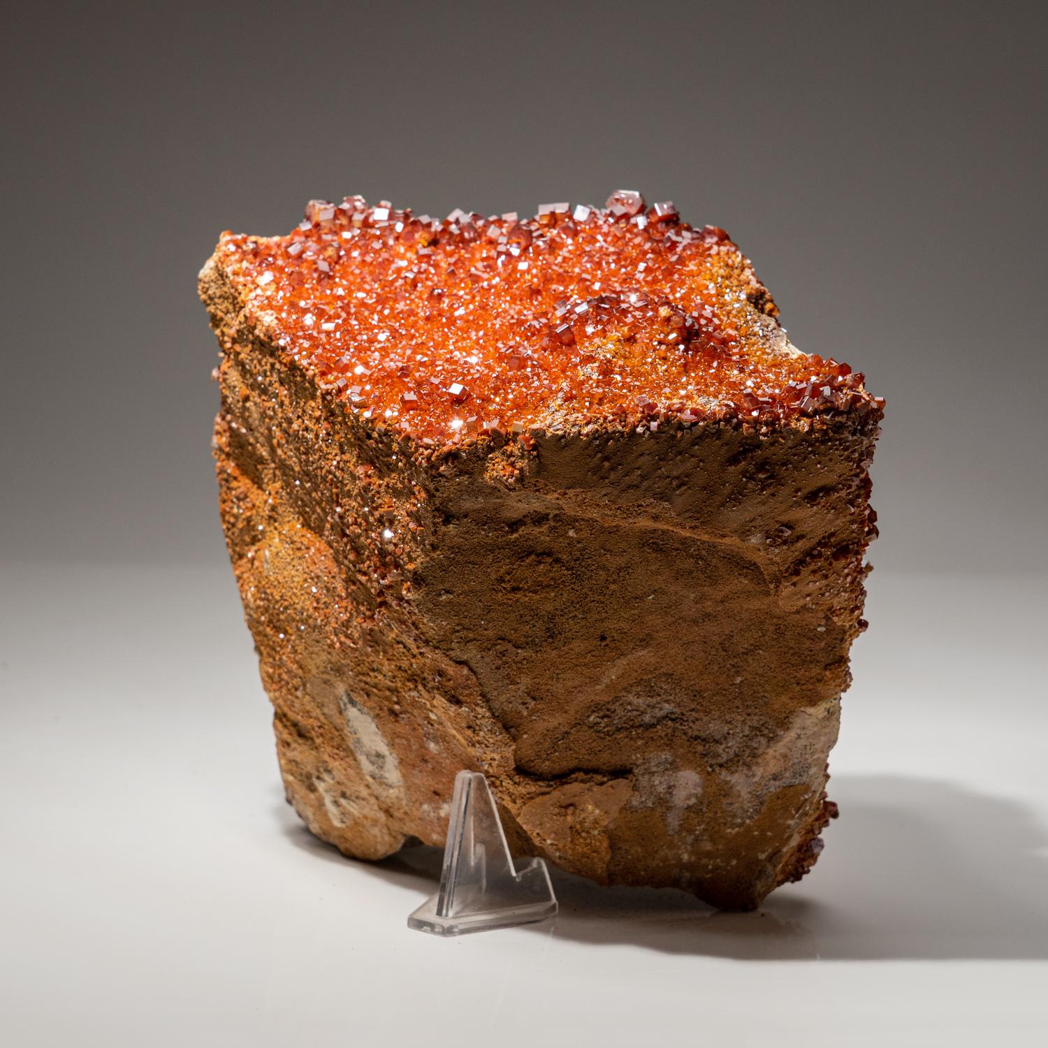 Vanadinite Crystal Cluster on Matrix from Mibladen, Atlas Mountains, Khénifra Pr In New Condition For Sale In New York, NY
